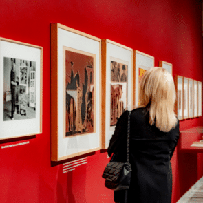 Visites comentades a les exposicions